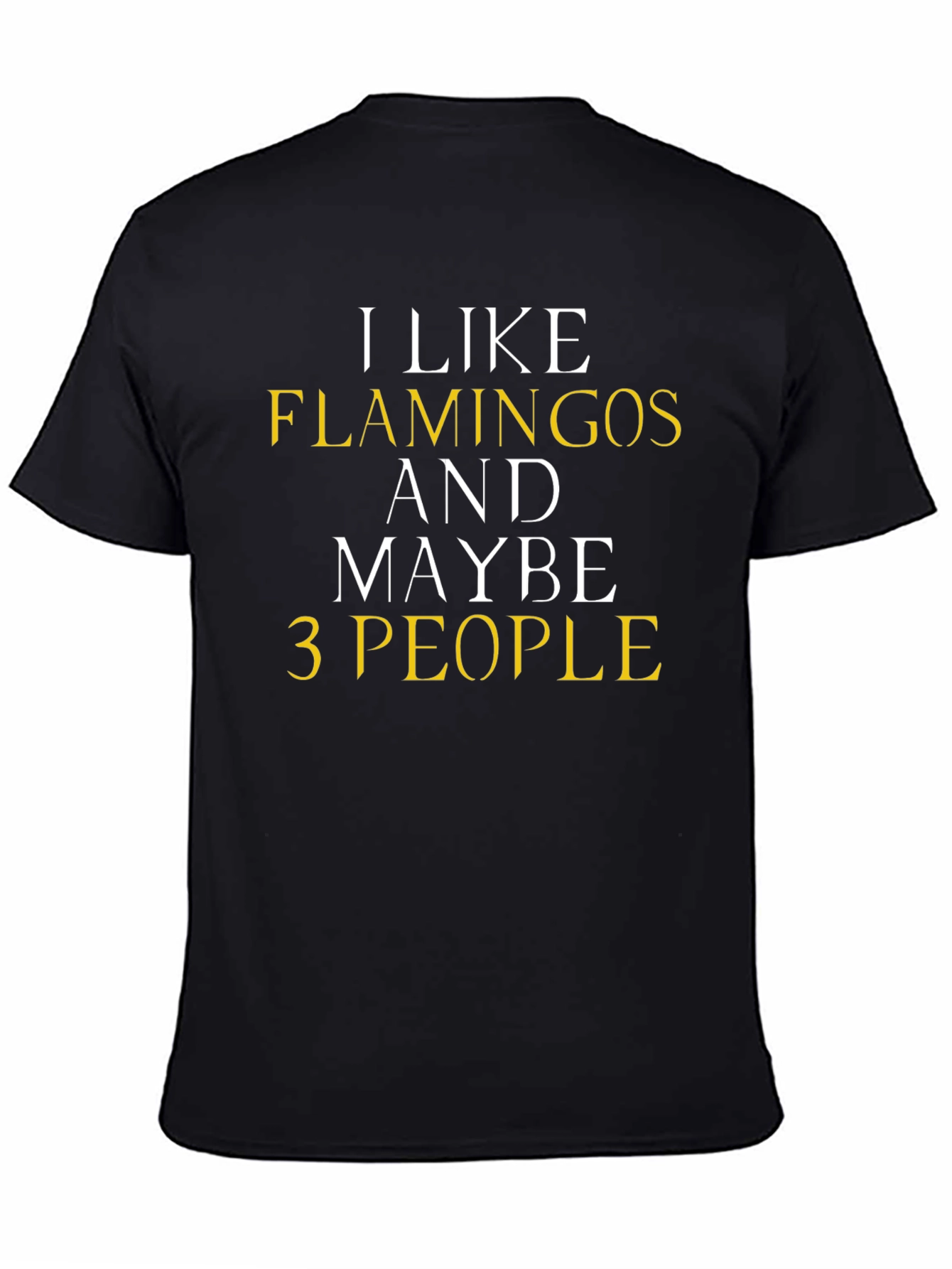 Funny Flamingo T-Shirt - I Like Flamingos & Maybe 3 People