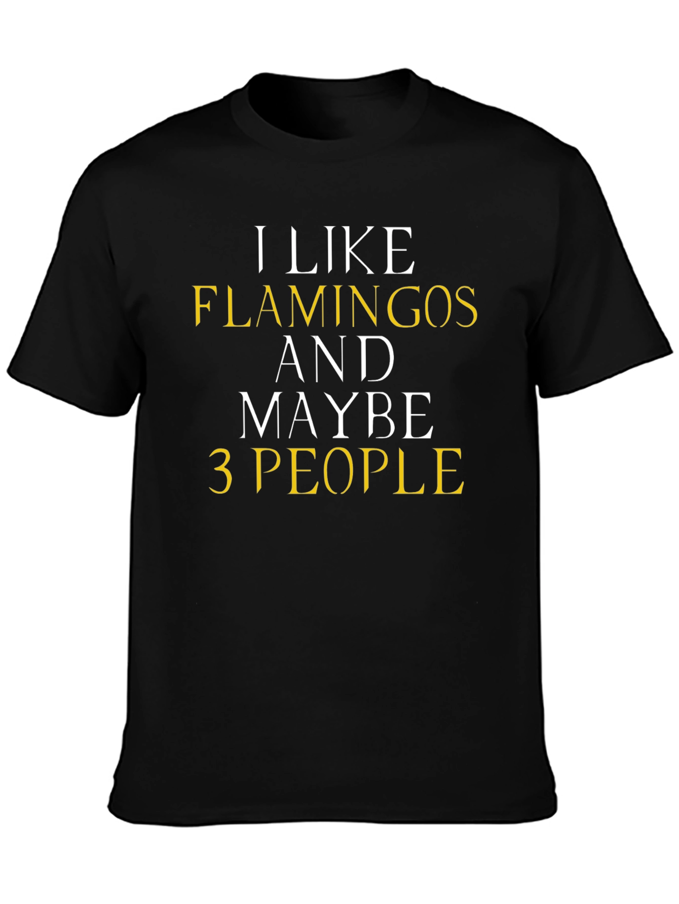 Funny Flamingo T-Shirt - I Like Flamingos & Maybe 3 People