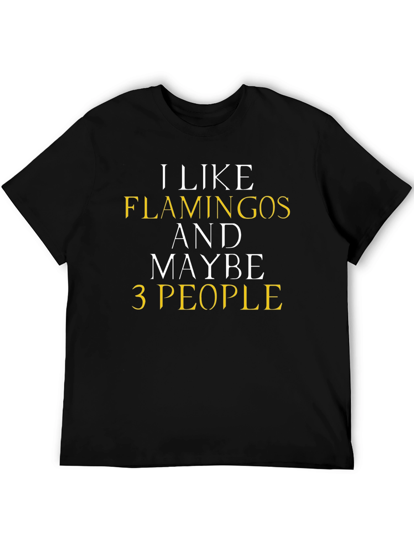 Funny Flamingo T-Shirt - I Like Flamingos & Maybe 3 People