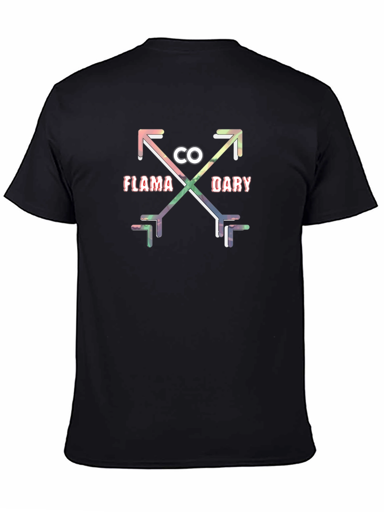 Flama Dary Arrows Graphic Tee - Black Cotton Casual